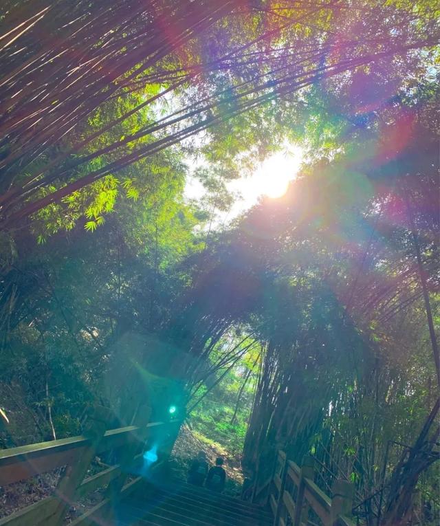 附近景区哪里好玩，宁波附近哪里好玩（大都1天打来回）