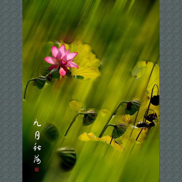 九月文案短句干净治愈，干净到极致适合朋友圈