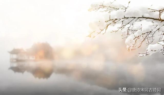 漫天的雪花在你眼里如什么哪，在你的眼里雪花是什么（来吧，让我们看一场春雪）