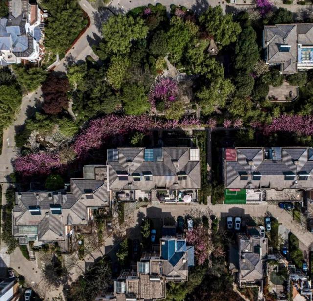 西安中大国际九号，西安中大国际9号大平层（西安4万+豪宅小区）