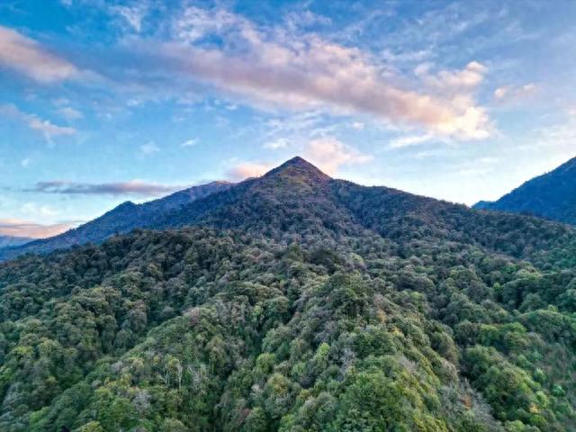 穿越生态秘境 巡护高黎贡山