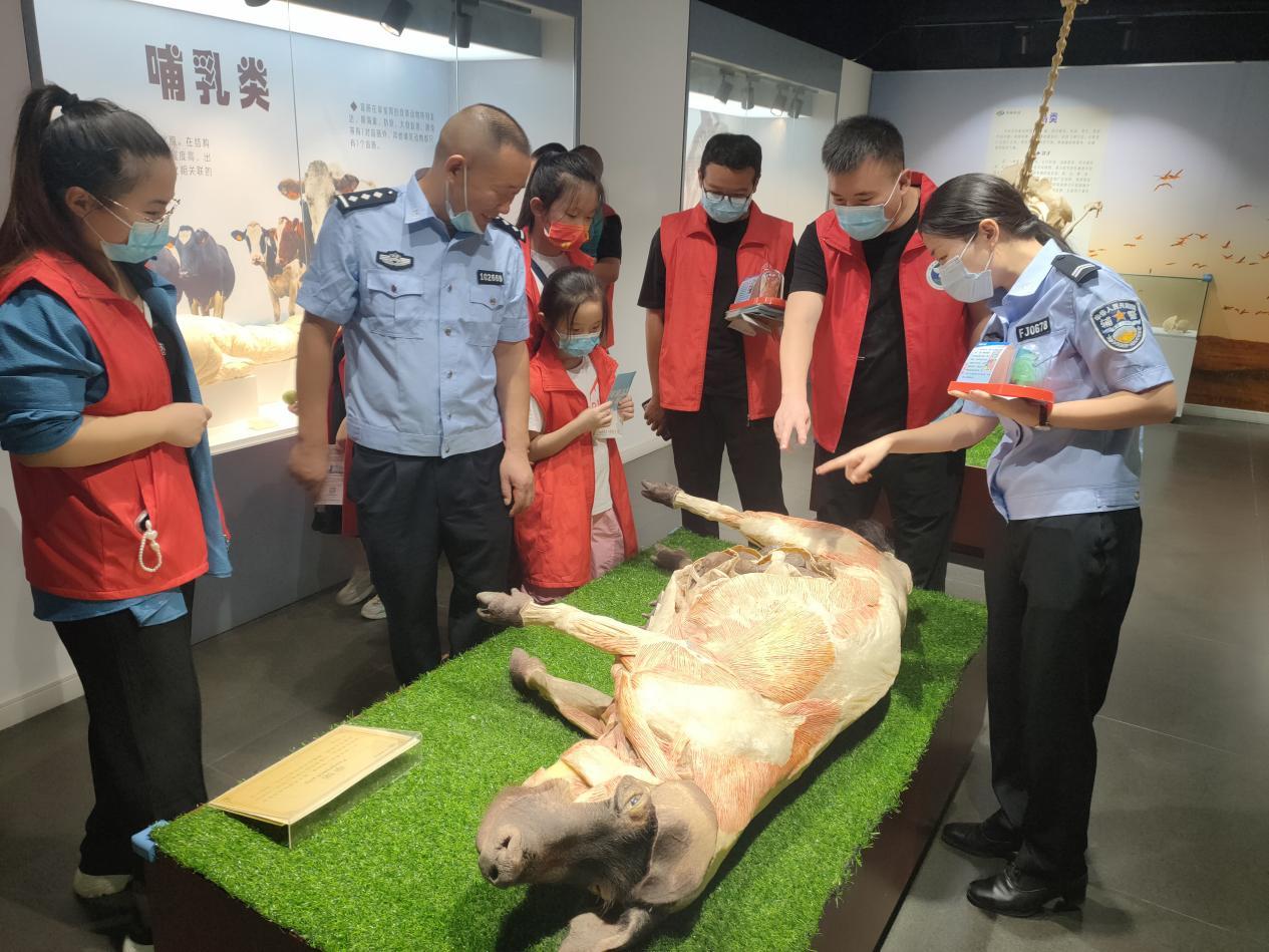 郑州哪里好玩的景点，适合情侣好玩好吃的地方