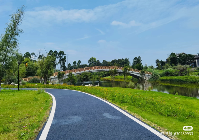 仙女棒可以带上高铁吗，仙女棒（成都近郊这9个烧烤野餐地推荐）