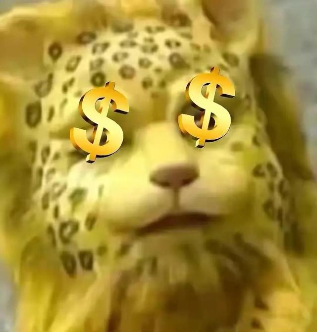 金钱豹头像图片，金钱豹头像✨微信（最全金钱豹头像！请叫我谢谢）