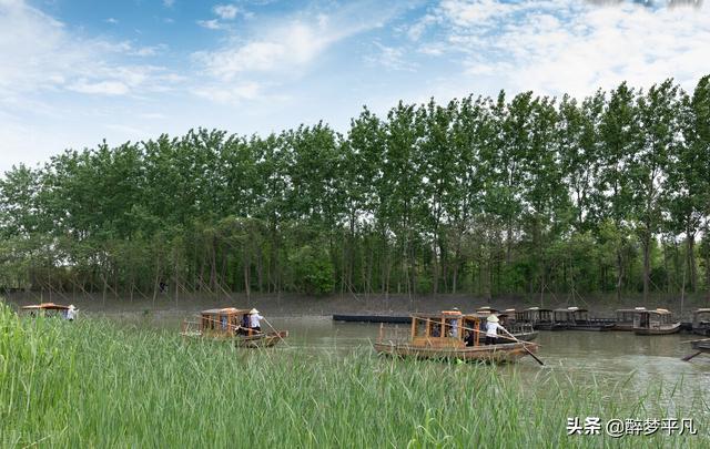 溱湖湿地公园有哪些，泰州溱湖国家湿地公园