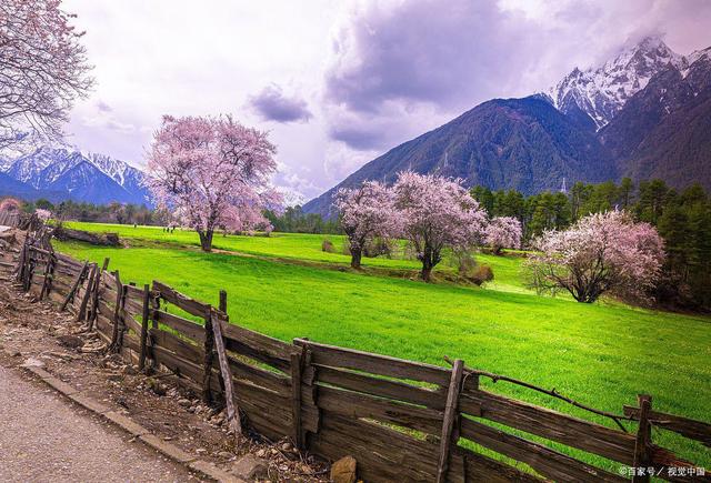 林芝旅游攻略，因为它有无与伦比的山水背景