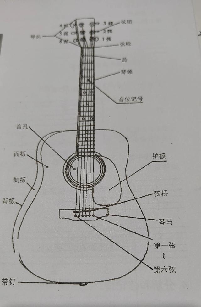 吉他入门基本功，怎么学吉他基本功（吉他初学入门）