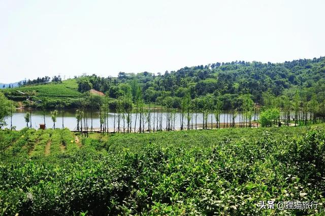 江宁校区，河海大学江宁校区面积（南京江宁区江宁街道在长江边）