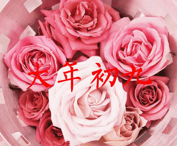 正月初九拜年祝福语图片，正月初一拜年祝福语图片（2022大年初九祝福图片）