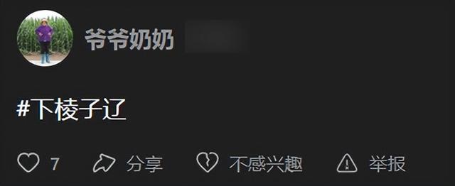 快手如何查看历史看过的视频，快手怎么找到以前看过的视频（在快手上看完这群大爷大妈）