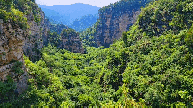 厦门龙洞风景区，厦门龙洞风景区门票多少（厦门龙洞：罕见的峡谷地貌）