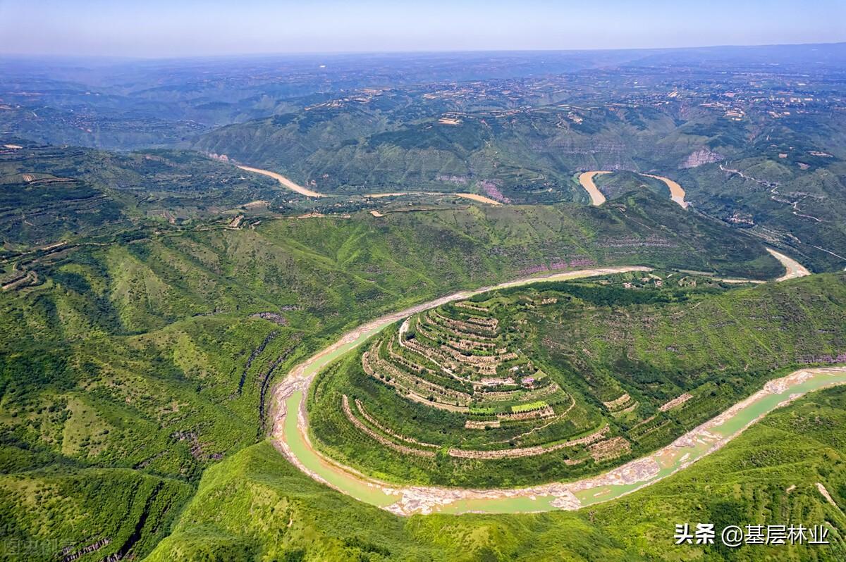 退耕还林条例（农户退耕还林）