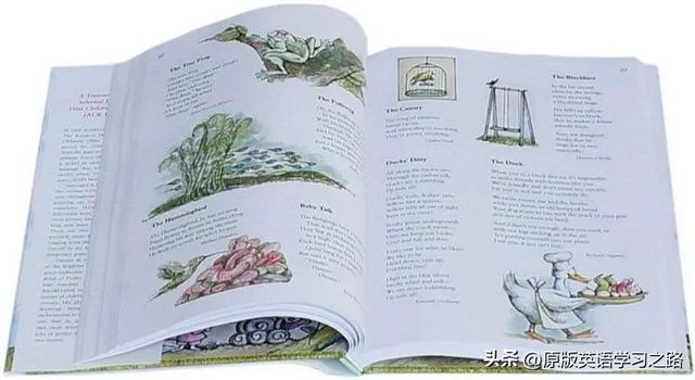 有哪些适合小学生看的外国文学名著，适合小学生读的外国文学名著（“最丰富、最完整”的美国儿童必读诗选）