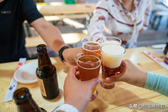 哈尔滨旅游攻略自由行攻略最新，哈尔滨一日游攻略