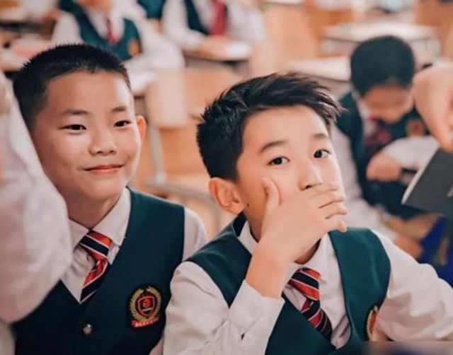 私立学校和公立学校哪个好，幼儿园公立学校和私立学校哪个好（公立和私立学校的差别有多大）
