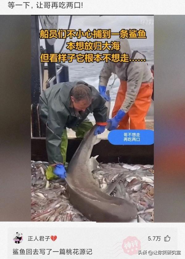 鬼刀一开看不见，鬼刀一开看不见是什么梗（深夜从运动步数发现男友和小3去酒店）