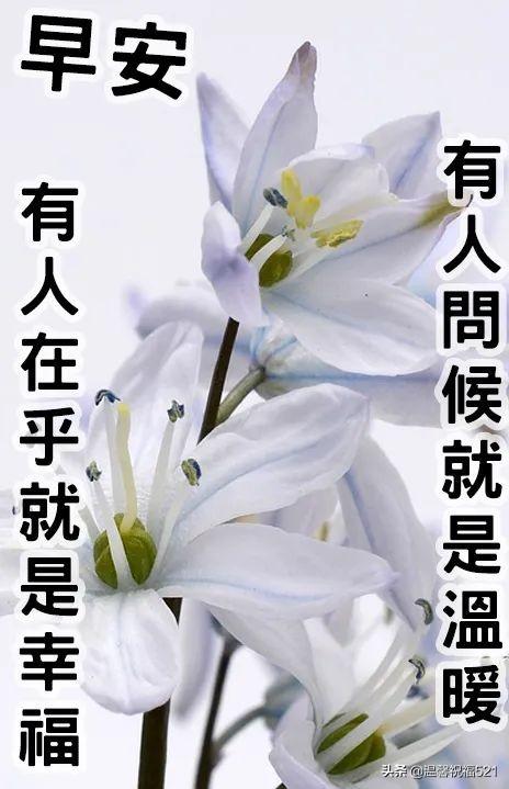 给老板的祝福语，给老板的祝福语四字（给老板道声好）