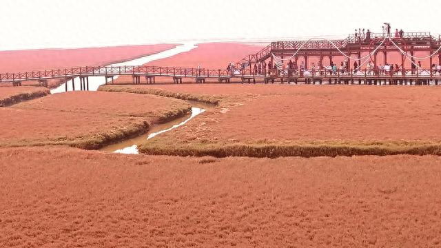 辽宁省盘锦市拥有国家4A级景区6个,列举出来与大家共享