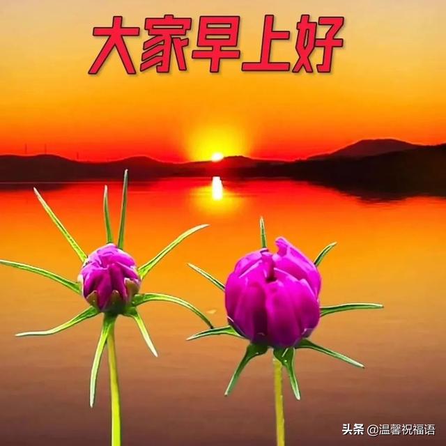 2021周末祝福语，2021年祝福寄语（7月2日星期六最新早上问候表情图片）