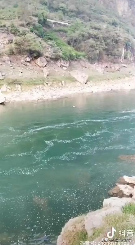 教师为迎检查捡鹅卵石溺亡?官方回应