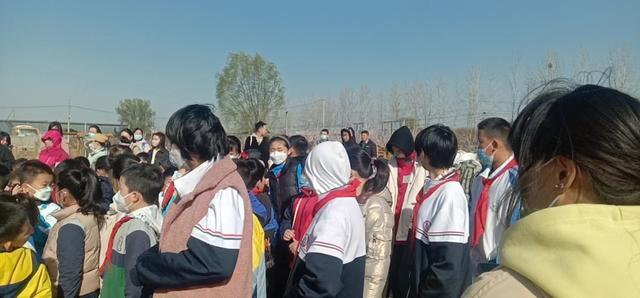 植树造林的意义，关于植树造林的意义及相关知识（植树节的意义）