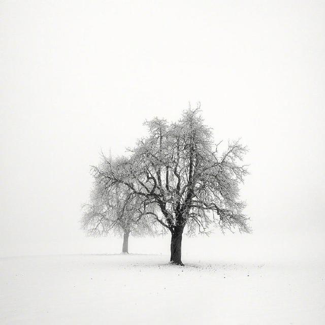 网络名言，网络名言唯美句子（很潮很犀利的人生格言）