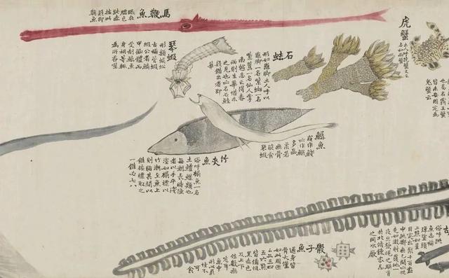 温州的海鲜，温州的海鲜都有啥（温州海鲜特产海蛤三千多年前就是贡品）