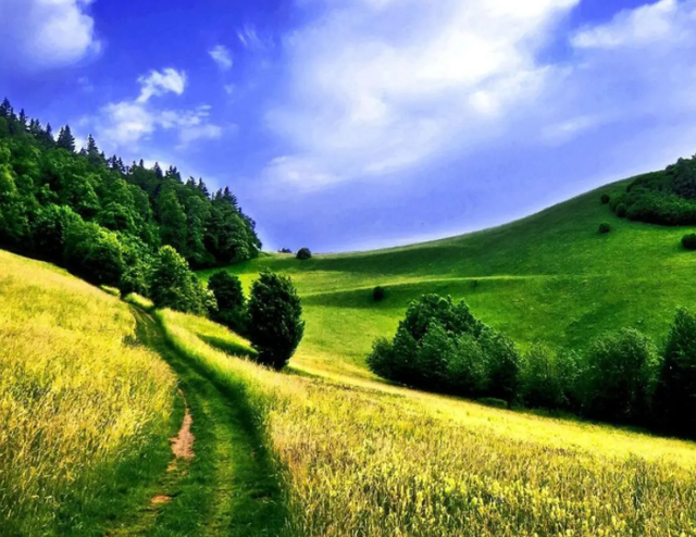 优秀到别人羡慕的星座女，颜值爆表到别人羡慕的星座女（爱情事业都顺利）