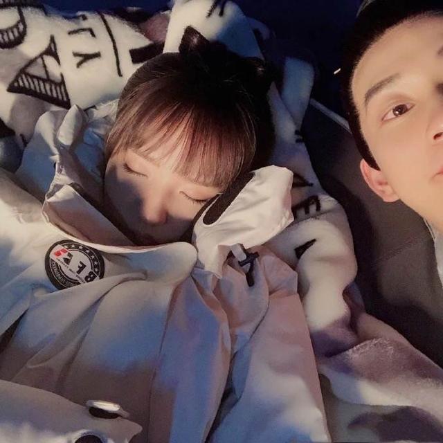 北美大灰狼是什么梗，北美灰狼为什么这么大（嘟嘴索吻、牵手搂抱、时刻黏在一起）