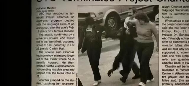 多妈简笔画叠起来的被子，儿童简笔画叠被子（试图成为人类却被囚禁30年）