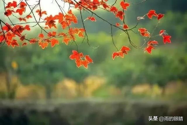 致自己很现实的一段话，十句话简短穿透人心（新年将至 写给自己的一段话）