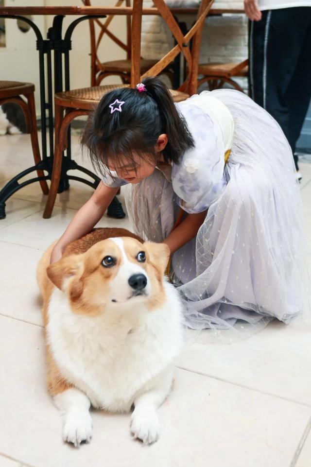 厦门宽厚里步行街的著名小吃，种草好久的厦门宽厚里美食店