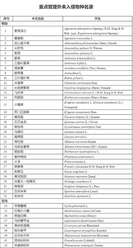 2022年铁路儿童票收费新规，购买儿童火车票有了新变化