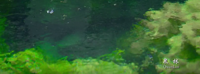 山东省济宁市泗水县，泗水县属于哪个市（走进“中国最美县域”泗水）