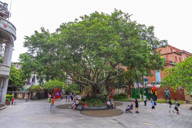 厦门好玩吗，春节去厦门好玩吗（厦门必打卡的2个景点）