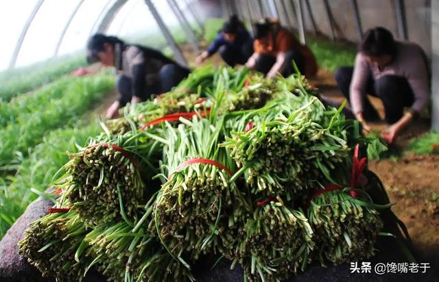 糖拌西红柿又叫什么，糖拌西红柿的别名叫什么（这5种蔬菜尽量少吃）