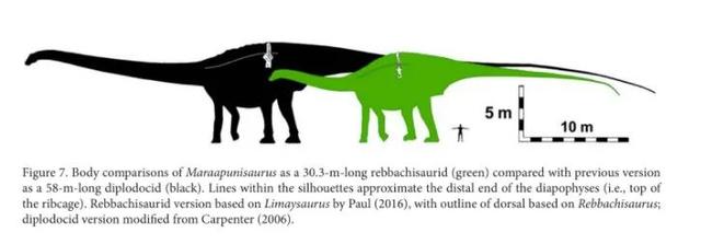 身体最长的恐龙是，身体最宽的恐龙（恐龙的体型为什么那么大）