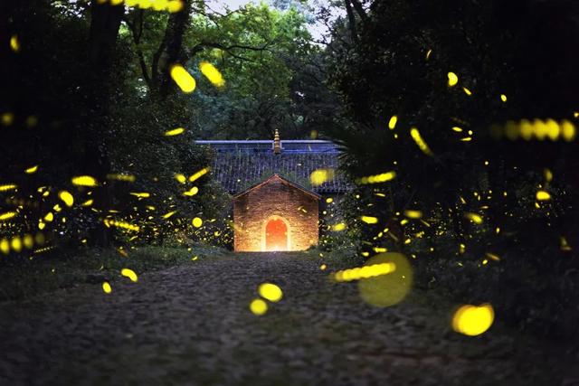 七八月份最适合旅游的地方，7-8月最适合旅游的地方（探索天地间的五光十色）