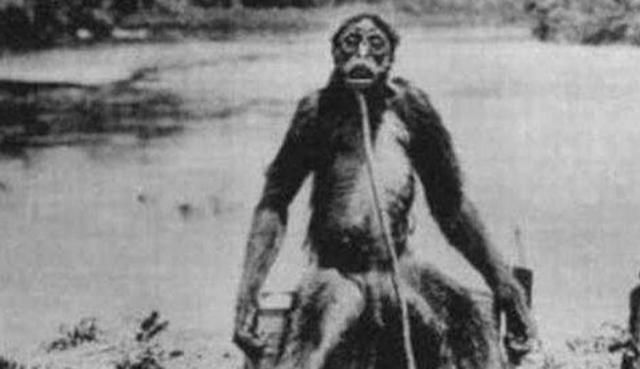 世界八大恐怖禁区，世界八大禁地是哪（揭秘那些人类无法踏进的领域）