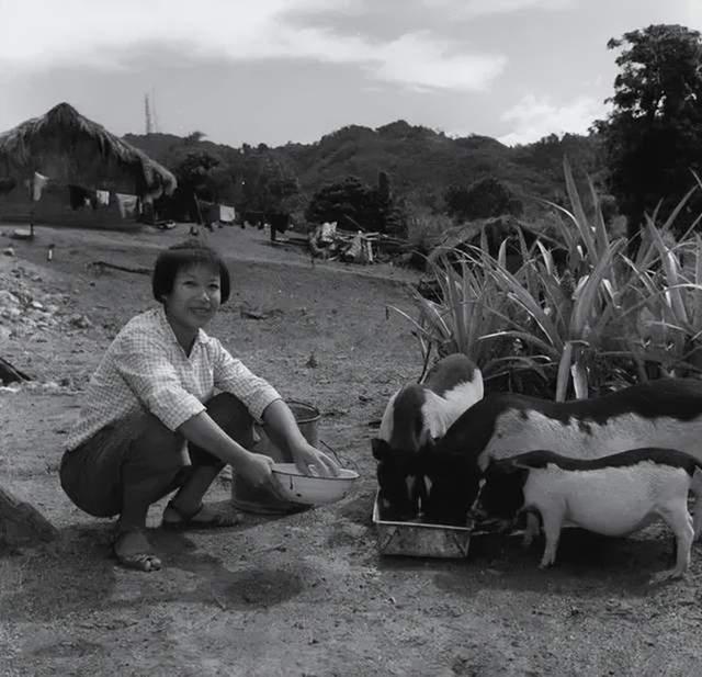 倔强的背后，倔强的背后就是执着（她留在北大荒嫁给了哑巴）