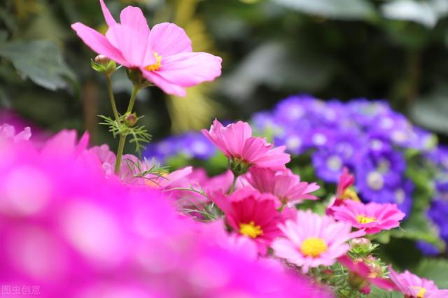 关于初心的句子，坚守初心的唯美句子（有一种相逢一眼万年）