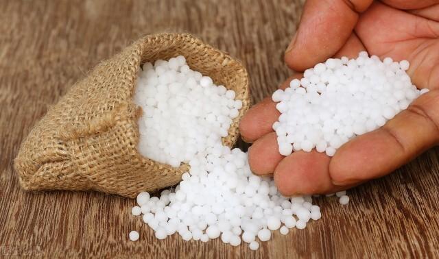 尿素是不是氮肥，尿素是不是氮肥的原料（为什么多数经销商推荐其它氮肥呢）