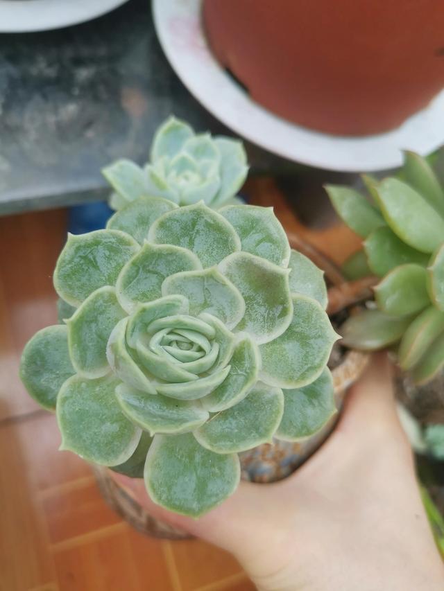 有哪些好听的网名，好看又好听的网名400个（都是些什么名字呢）