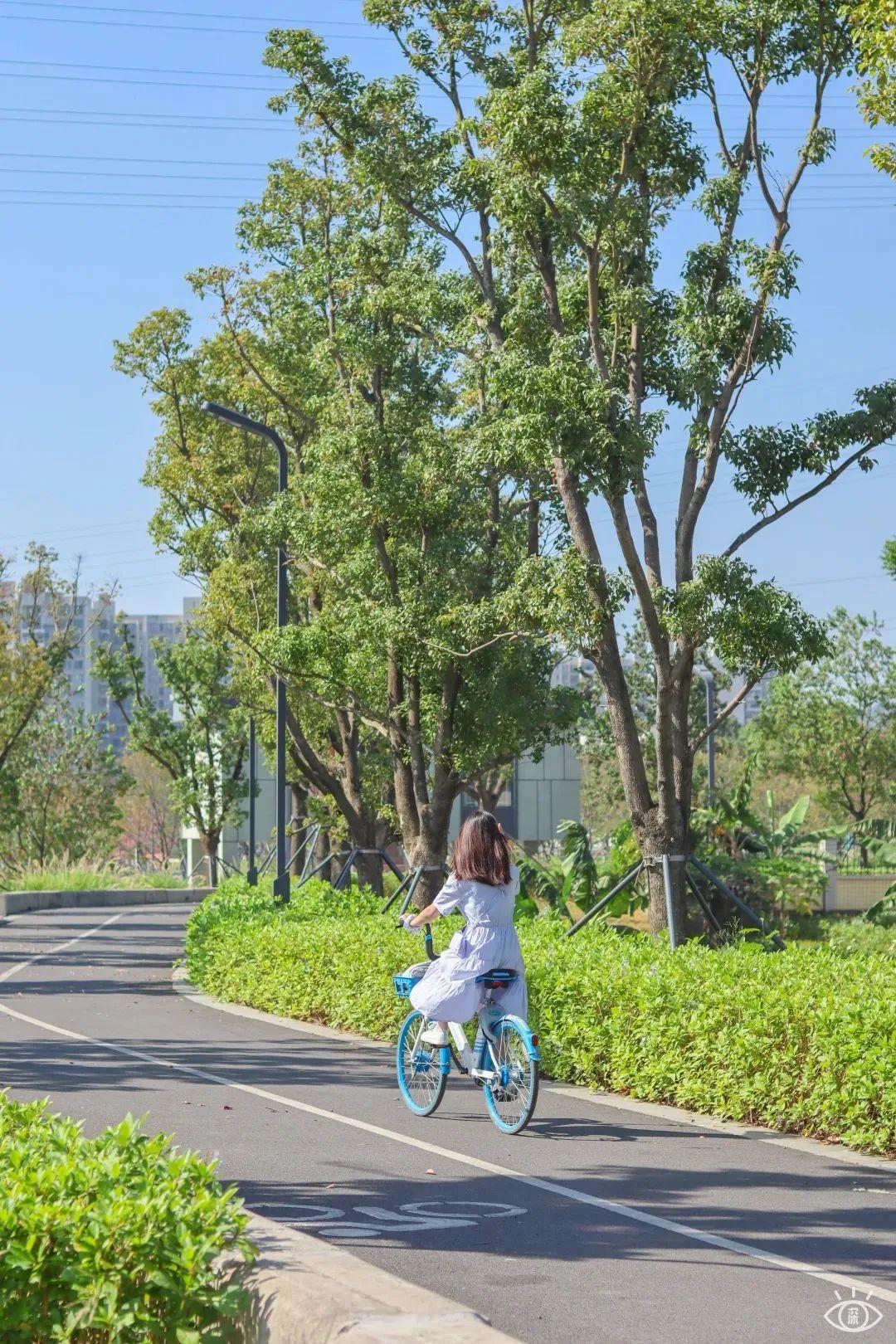 宝安中心地铁站(宝安客运中心附近地铁站)
