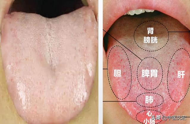 怎么补气血最快最有效，补气血最快的方法有哪些（医生教你有效的调补方法）