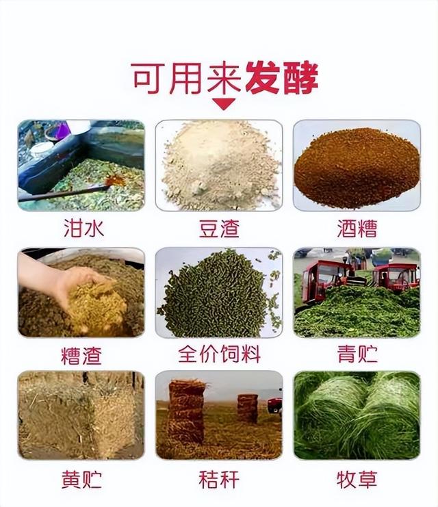 饲料发酵剂有什么作用，饲料发酵剂有什么作用和功效（好处诸多，详细情况请看下文）
