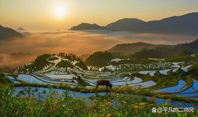 浙江丽水特色景点，丽水——被誉为“浙江绿谷”