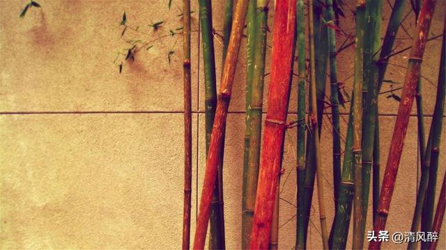 简短的情话文艺很甜很撩的句子，撩人情话短句很甜的小短句（很甜很撩的情话句子）