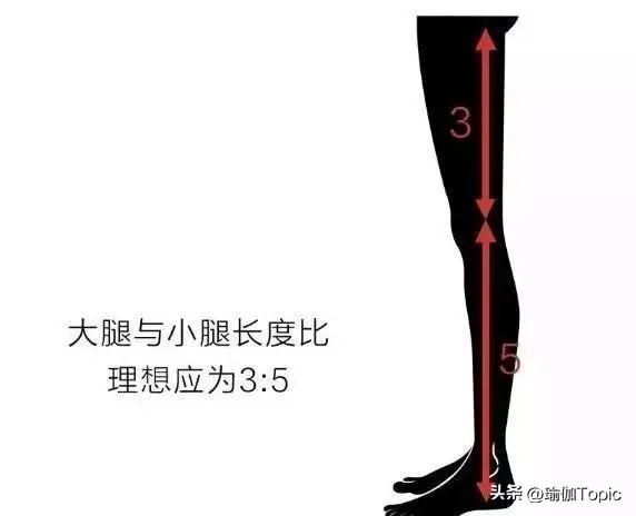 男生认为好看女生标准，男女眼中漂亮女人标准（女生腿好看的标准是什么）