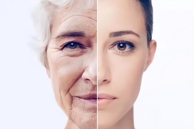 皮肤下垂的速度,皮肤下垂的速度0.02(看看肌肤的实际衰老程度是多少)